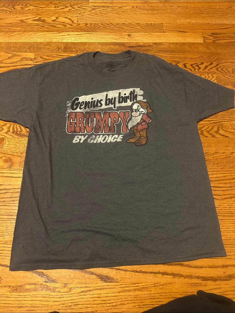 Disney Genius by Birth Grumpy Graphic Tee - Charcoal